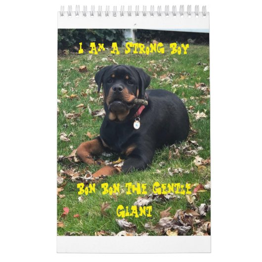 Rottweiler Calendar  Kalender (Hoes)