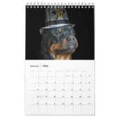 Rottweiler Calendar  Kalender (Jan 2026)