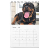 Rottweiler Calendar  Kalender (Feb 2026)
