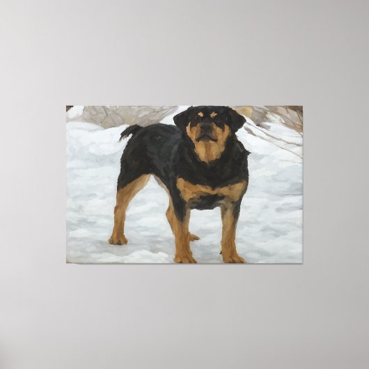 Rottweiler Canvas Print (Voorkant)