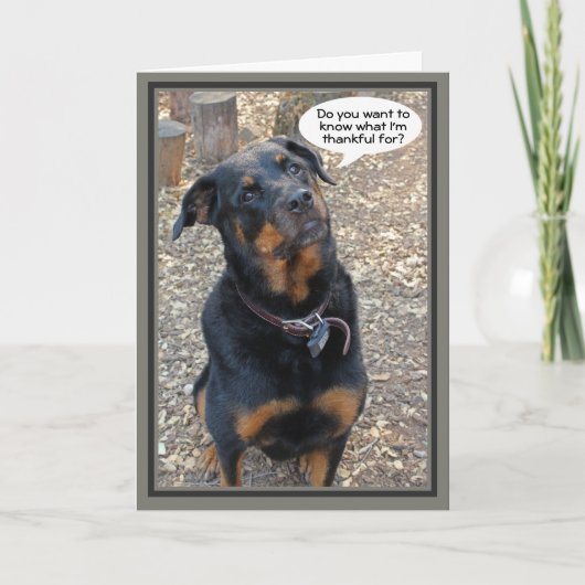 Rottweiler dankbaar voor Thanksgiving Kaart (Voorkant)