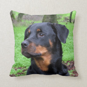 Rottweiler Daydreaming Pillow Kussen
