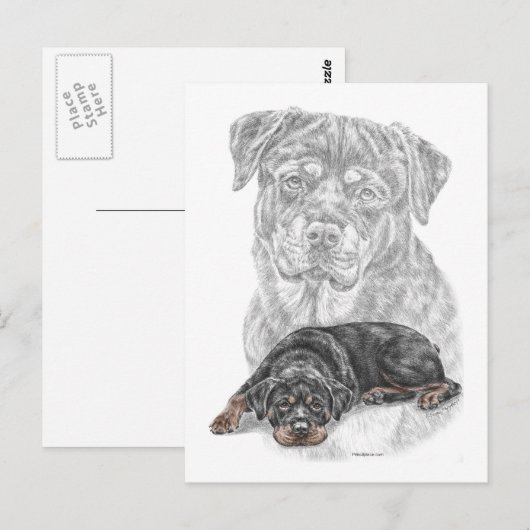 Rottweiler Dog Art Briefkaart (Voorkant / Achterkant)