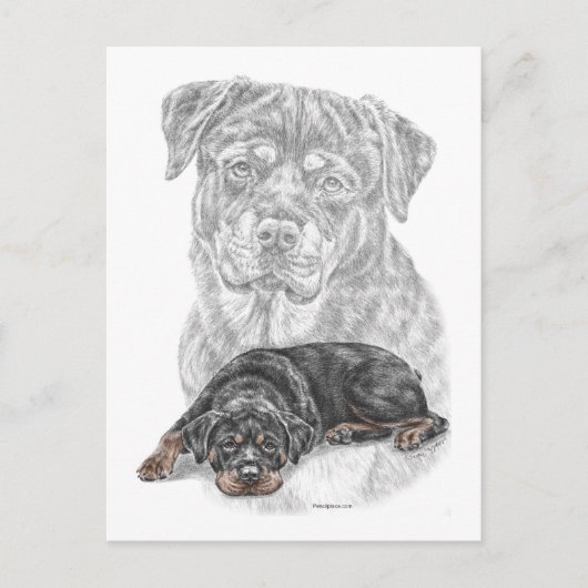 Rottweiler Dog Art Briefkaart (Voorkant)