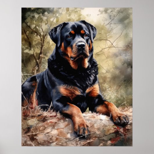 Rottweiler Dog Art Print Poster (Voorkant)