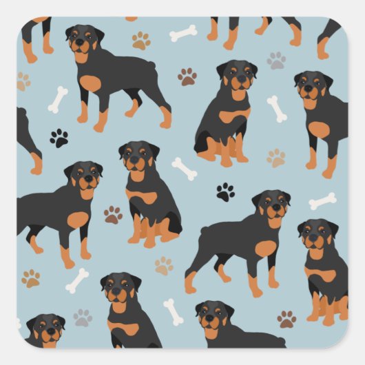 Rottweiler Dog-Botten en -poten Vierkante Sticker (Voorkant)