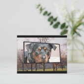Rottweiler Dog Briefkaart (Staand voorkant)