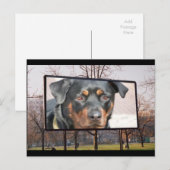 Rottweiler Dog Briefkaart (Voorkant / Achterkant)