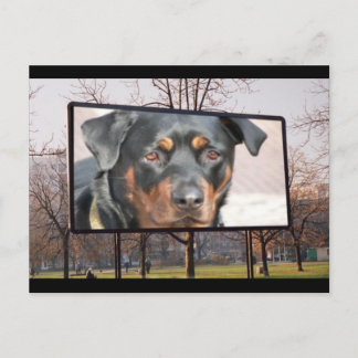 Rottweiler Dog Briefkaart