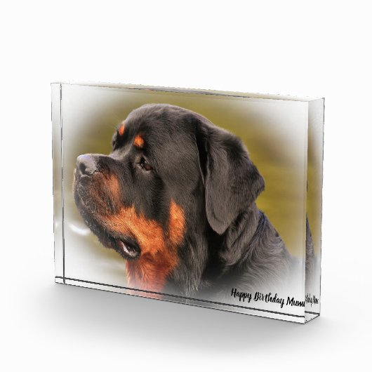 Rottweiler Dog Fotoblokken (Rechts)