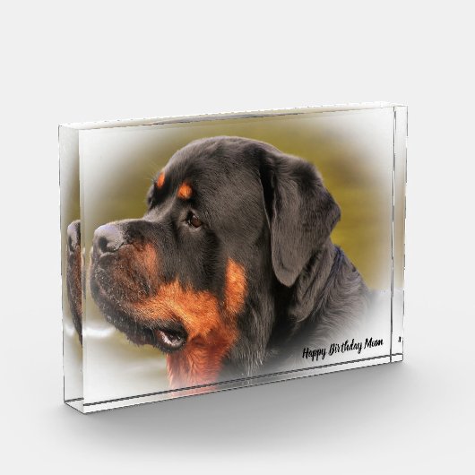 Rottweiler Dog Fotoblokken (Links)