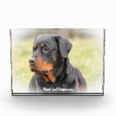 Rottweiler Dog Fotoblokken (Voorkant)