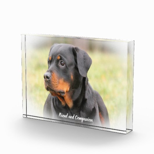 Rottweiler Dog Fotoblokken (Rechts)