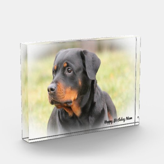 Rottweiler Dog Fotoblokken (Links)