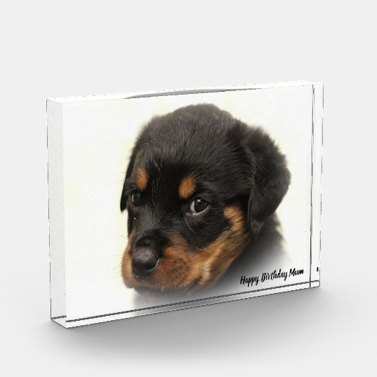 Rottweiler Dog Fotoblokken (Links)