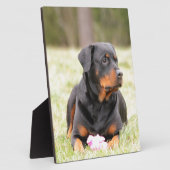 Rottweiler Dog Fotoplaat (Zijkant)