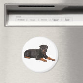 ROTTWEILER DOG FRIDGE MAGNET (Insitu (Vaatwasser))