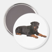 ROTTWEILER DOG FRIDGE MAGNET (Voorkant / Achterkant)