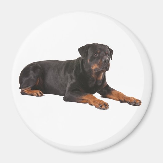 ROTTWEILER DOG FRIDGE MAGNET (Voorkant)