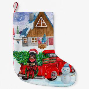 Rottweiler Dog in kerstcadeauwagen Kleine Kerstsok