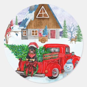 Rottweiler Dog in kerstcadeauwagen Ronde Sticker