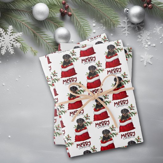 Rottweiler Dog in Vakbistenbag Inpakpapier Vel