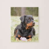 Rottweiler Dog Legpuzzel (Verticaal)