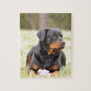 Rottweiler Dog Legpuzzel
