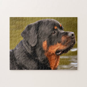 Rottweiler Dog Legpuzzel