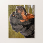 Rottweiler Dog Legpuzzel (Verticaal)