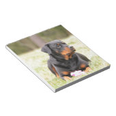 Rottweiler Dog Notitieblok (Schuin)