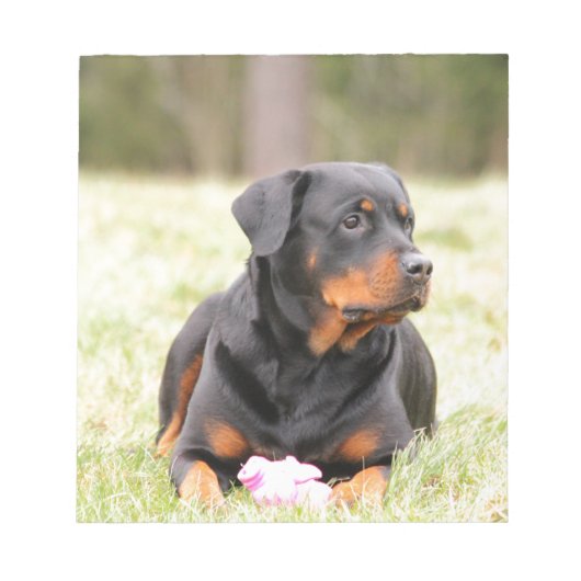 Rottweiler Dog Notitieblok (Voorkant)