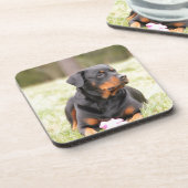 Rottweiler Dog Onderzetter (Linkerzijde)