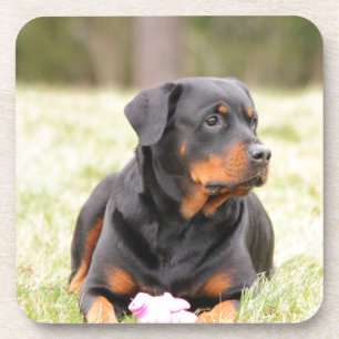 Rottweiler Dog Onderzetter