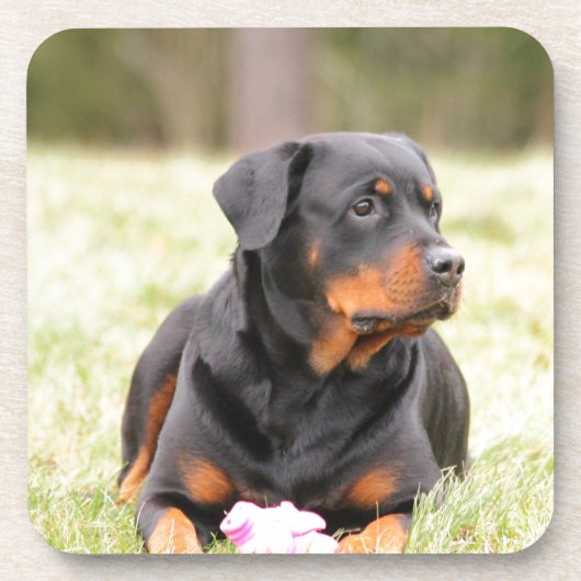 Rottweiler Dog Onderzetter (Voorkant)