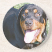 Rottweiler Dog Onderzetters (Voorkant)