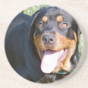 Rottweiler Dog Onderzetters