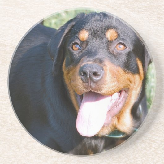 Rottweiler Dog Onderzetters (Voorkant)