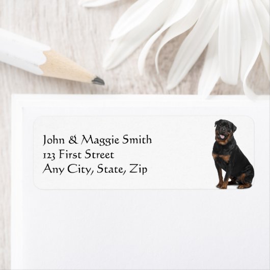 Rottweiler Dog Pet Animal Etiket (Insitu)