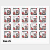 Rottweiler Dog Poinsettia Border Kerstmis Vierkante Sticker (Vel)