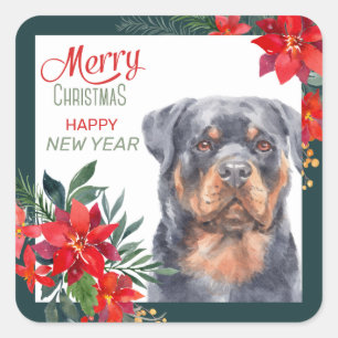 Rottweiler Dog Poinsettia Border Kerstmis Vierkante Sticker