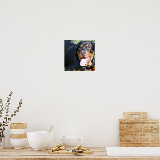 Rottweiler Dog Print (Keuken)
