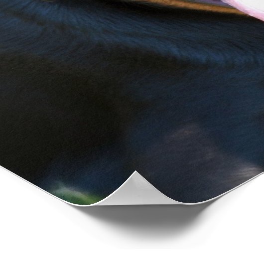 Rottweiler Dog Print (Hoek)