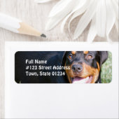 Rottweiler Dog Return Address Label (Insitu)