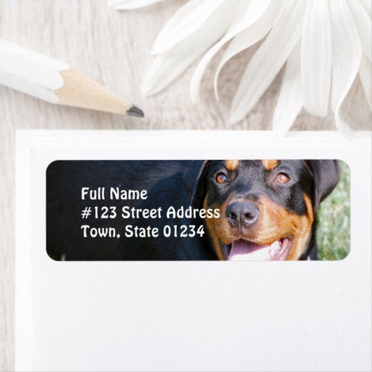 Rottweiler Dog Return Address Label (Insitu)