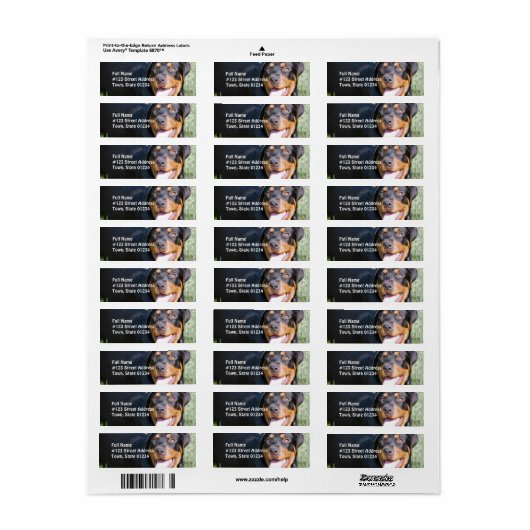 Rottweiler Dog Return Address Label (Full Sheet)
