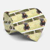 Rottweiler Dog Stropdas (Opgerold)