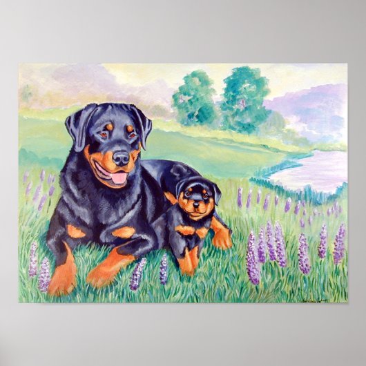 Rottweiler Dog Wall Poster Print (Voorkant)