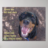 Rottweiler Dog's Love Poster (Voorkant)