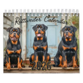 Rottweiler Dogs Wall Calendar 2026 Kalender (Hoes)